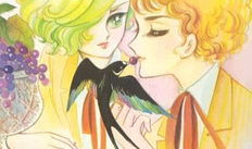 风与木之诗动漫,探寻自然与生命的和谐交响